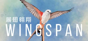 Cover — Wingspan