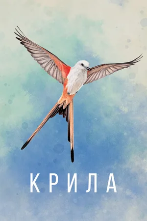 Cover — Wingspan