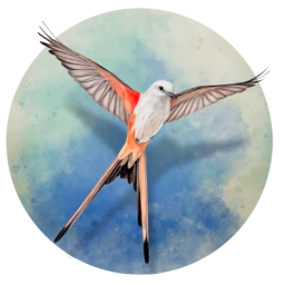 Icon — Wingspan