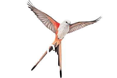 Logo — 